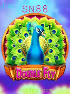 Explorando o Fascinante Mundo do Jogo DoubleFly com a Palavra-chave SN88